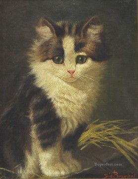猫の赤ちゃん Oil Paintings